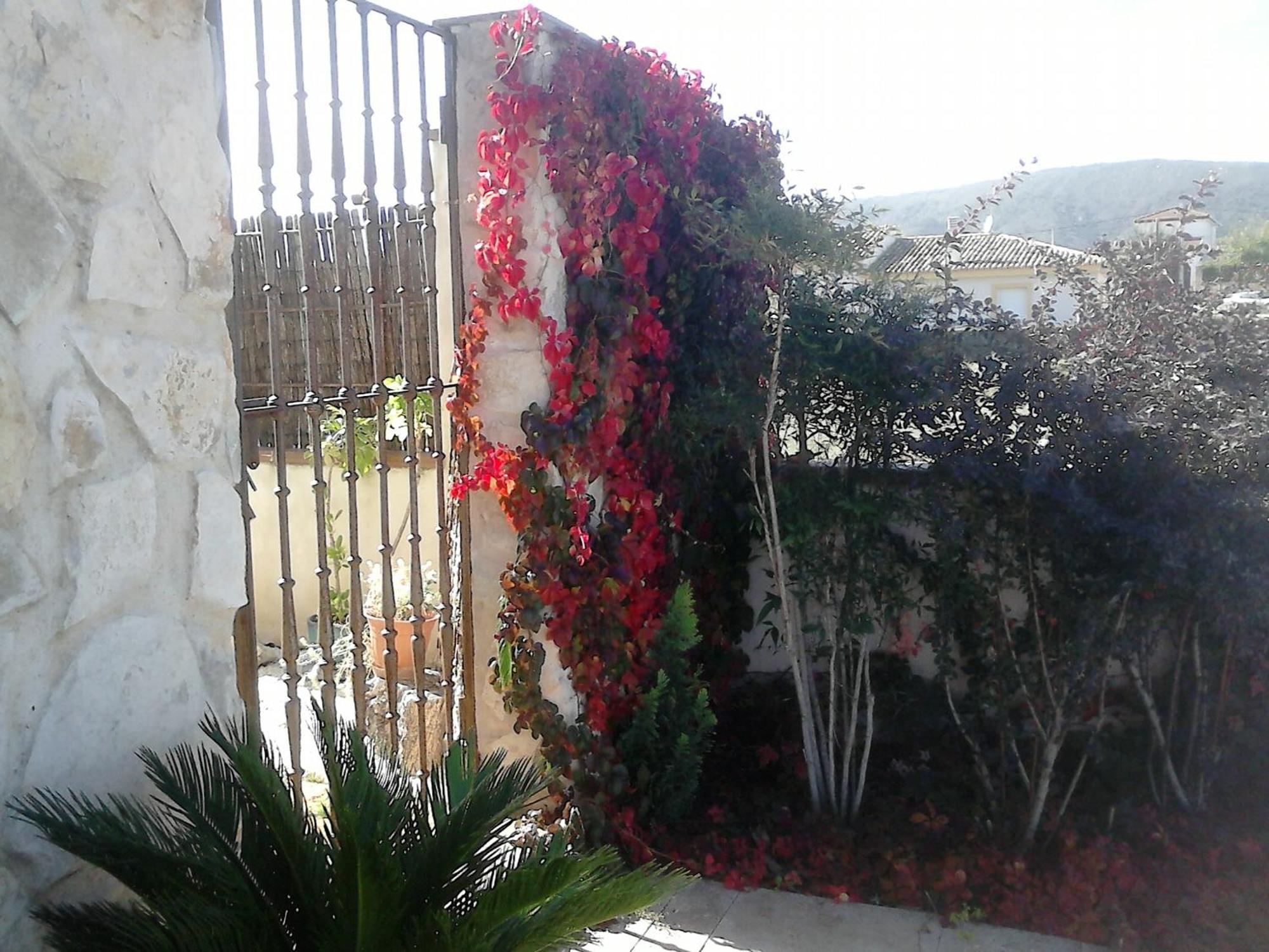 La Pena Del Gato Villa Buendia Exterior photo